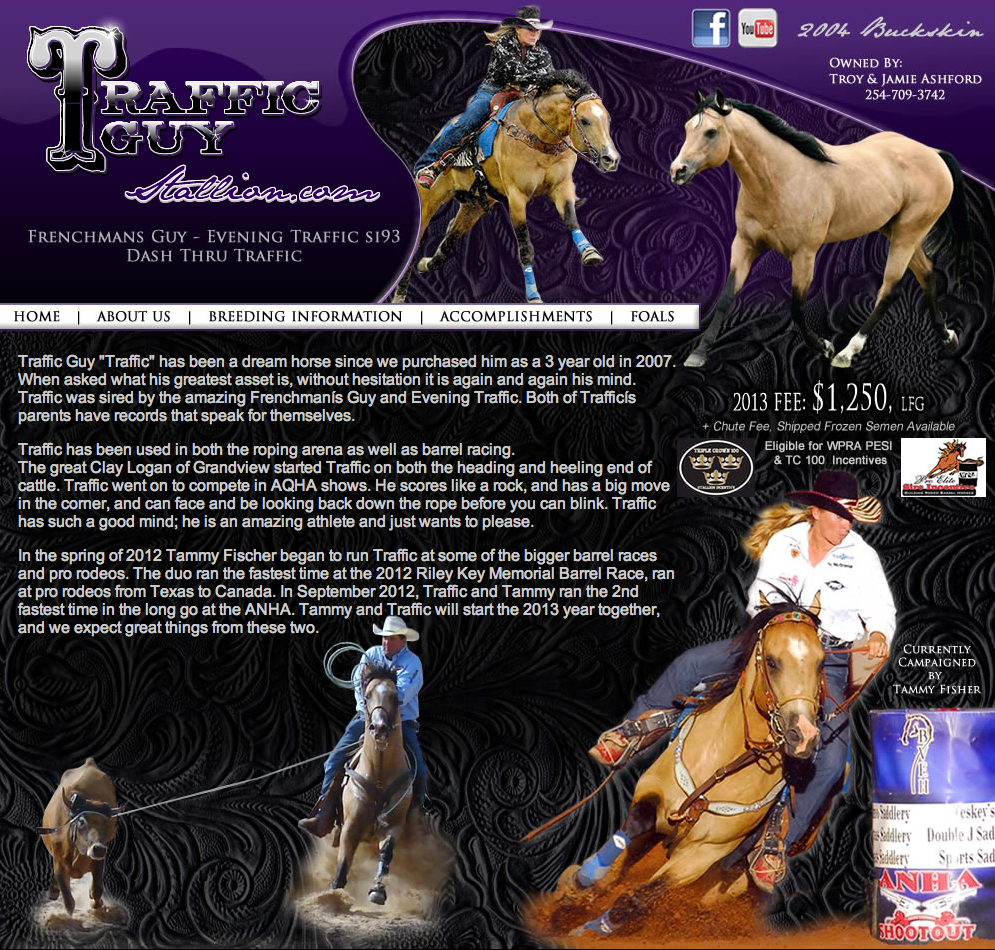 Traffic Guy Stallion